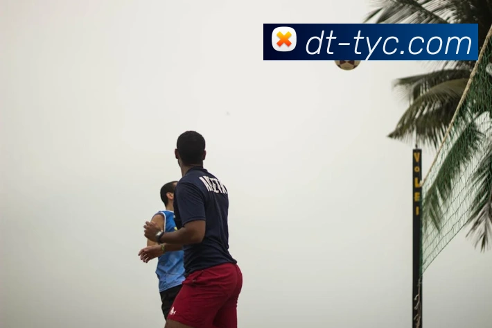 太阳城网站平台生态图